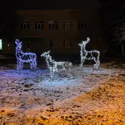 НВК та гімназія "Просперітас"