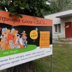 Злата — Київ