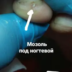 Юркевич Світлана