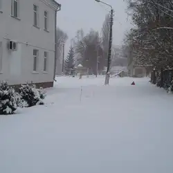 Білоцерківська міська дитяча поліклініка