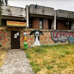 Чотири лапи