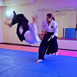Unreal Aikido