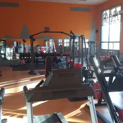 Steel-House Gym
