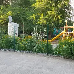 Мішкіна школа — Запоріжжя