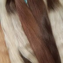 Ekaterinakot beauty