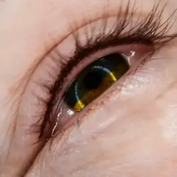 Валерія Гінцар