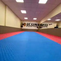 Клуб карате LEON - Харківське шосе — Київ