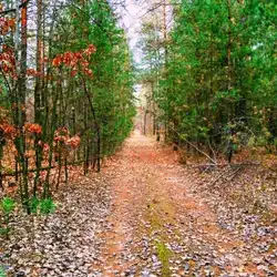 Фотограф Олег Кармазь