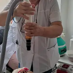Марина Лисогор — Одеса