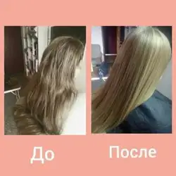 Світлана Миколаївна Вовк