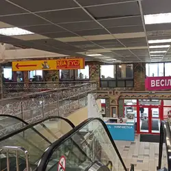 Два гуся — Київ