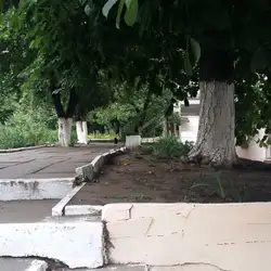 МІСЬКИЙ КЛІНІЧНИЙ ПІДРОЗДІЛ ЕНДОКРИНОЛОГІЇ І ОБМІНУ РЕЧОВИН