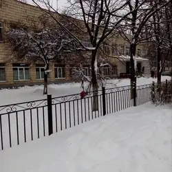 Спеціалізована школа з поглибленим вивченням англійської мови № 82 ім. Т.Г.Шевченка