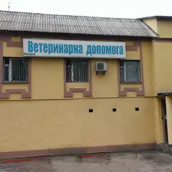 Велика Ведмедиця - Павла Тичини