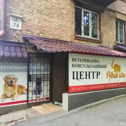Рудий Кіт - проспект Науки — Київ