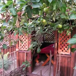 Фільварок на Левандівці — Львів