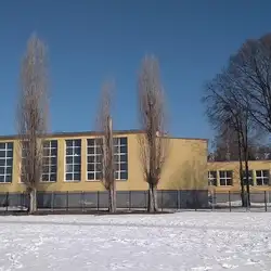 Спортивний клуб Січ