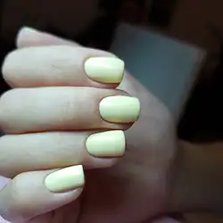 Санья — Київ