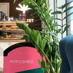 IDEALIST COFFEE CO (БЦ Astarta) — Київ