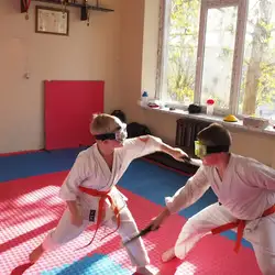 Baribal Dojо
