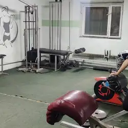 Гриф — Одеса
