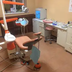 Династія Виборних