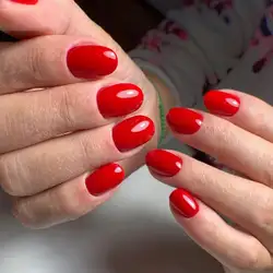 Анастасія — Біла Церква