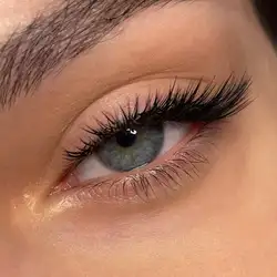 Kristal Lash