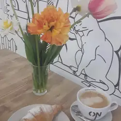 Тарелка — Рівне
