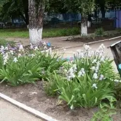 Дошкільний навчальний заклад (ясла-садок) №97