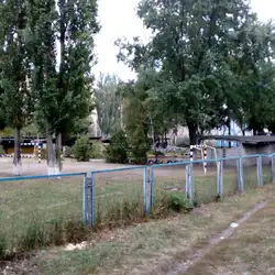 Заклад дошкільної освіти № 133 "Радосинь"
