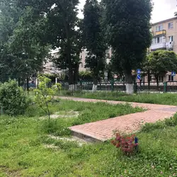 Школа №8 Житомир