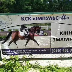 Вища школа верхової їзди Імпульс
