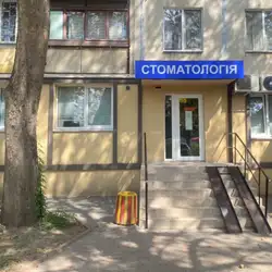 Мегастом - Бочарова