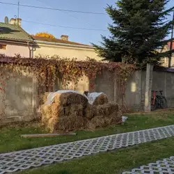Школа Монтессорі