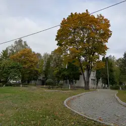 Початкова школа "Малюк" Львівської міської ради з дошкільним відділенням