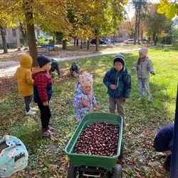 Дитячий Клуб Монтессорі Колібрі