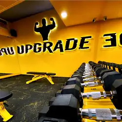 Upgrade - Добровольського
