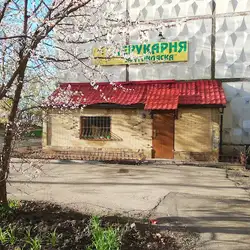 Zlatovlaska