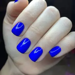 Анна Шкуратько