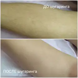 Тетяна Педосенко