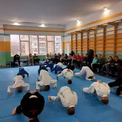 Академія Джіу Джитсу -  Ореста Левицького