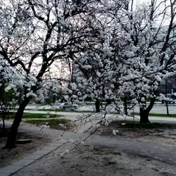 НАШЕ ПИВО — Запоріжжя