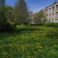 Ліцей №17 — Івано-Франківськ