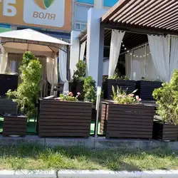 SpeakEasy - this way to bar — Харків