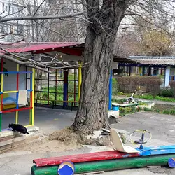 Дитячий садок №141 "Зірочка"