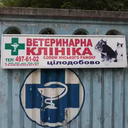 Лікарня ветеринарної медицини Солом'янського району