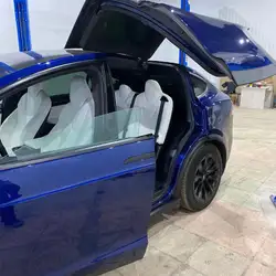 Doctor Elon