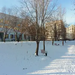 Слов'янська гімназія — Київ