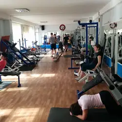 Bizon Gym